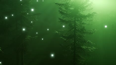Magical-Forest-with-Sparkles